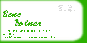 bene molnar business card